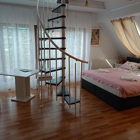 Apartament Pension Donaublick Grein 2 In Stifterstrasse19. Zewnętrze zdjęcie