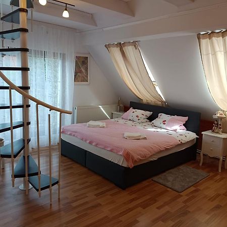 Apartament Pension Donaublick Grein 2 In Stifterstrasse19. Zewnętrze zdjęcie